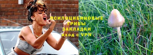 дурь Козловка