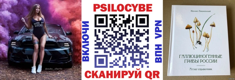 продажа наркотиков  Прокопьевск  Псилоцибиновые грибы мицелий 