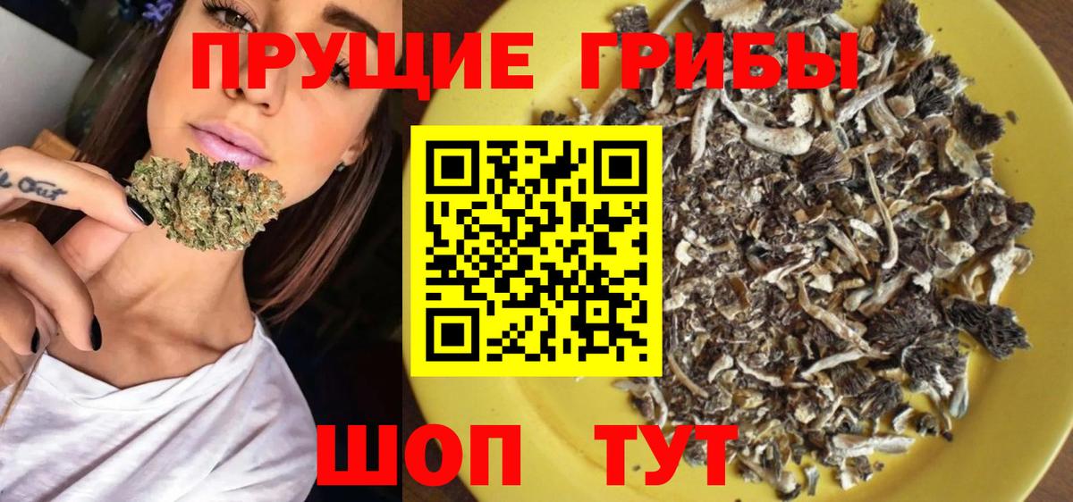 Галлюциногенные грибы ЛСД  Вход с VPN  Галлюциногенные грибы Cubensis  Прокопьевск 